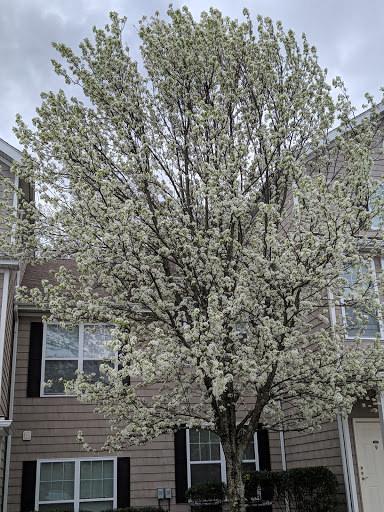 Country Club «The Cape Club of Sharon», reviews and photos, 25 Tiot St, Sharon, MA 02067, USA