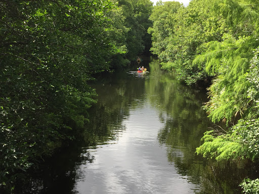 Nature Preserve «Cypress Creek Natural Area», reviews and photos, 10035 W Indiantown Rd, Jupiter, FL 33478, USA