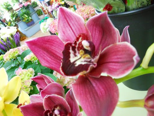 Florist «Mayfield Floral Inc.», reviews and photos, 6109 Mayfield Rd, Mayfield Heights, OH 44124, USA