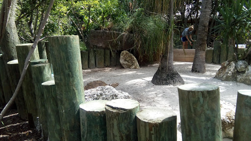 Aquarium «Florida Keys Aquarium Encounters», reviews and photos, 11710 Overseas Hwy, Marathon, FL 33050, USA