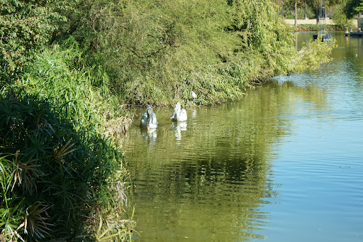 Park «Papago Park», reviews and photos, 625 N Galvin Pkwy, Phoenix, AZ 85008, USA