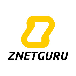 znetguru.com