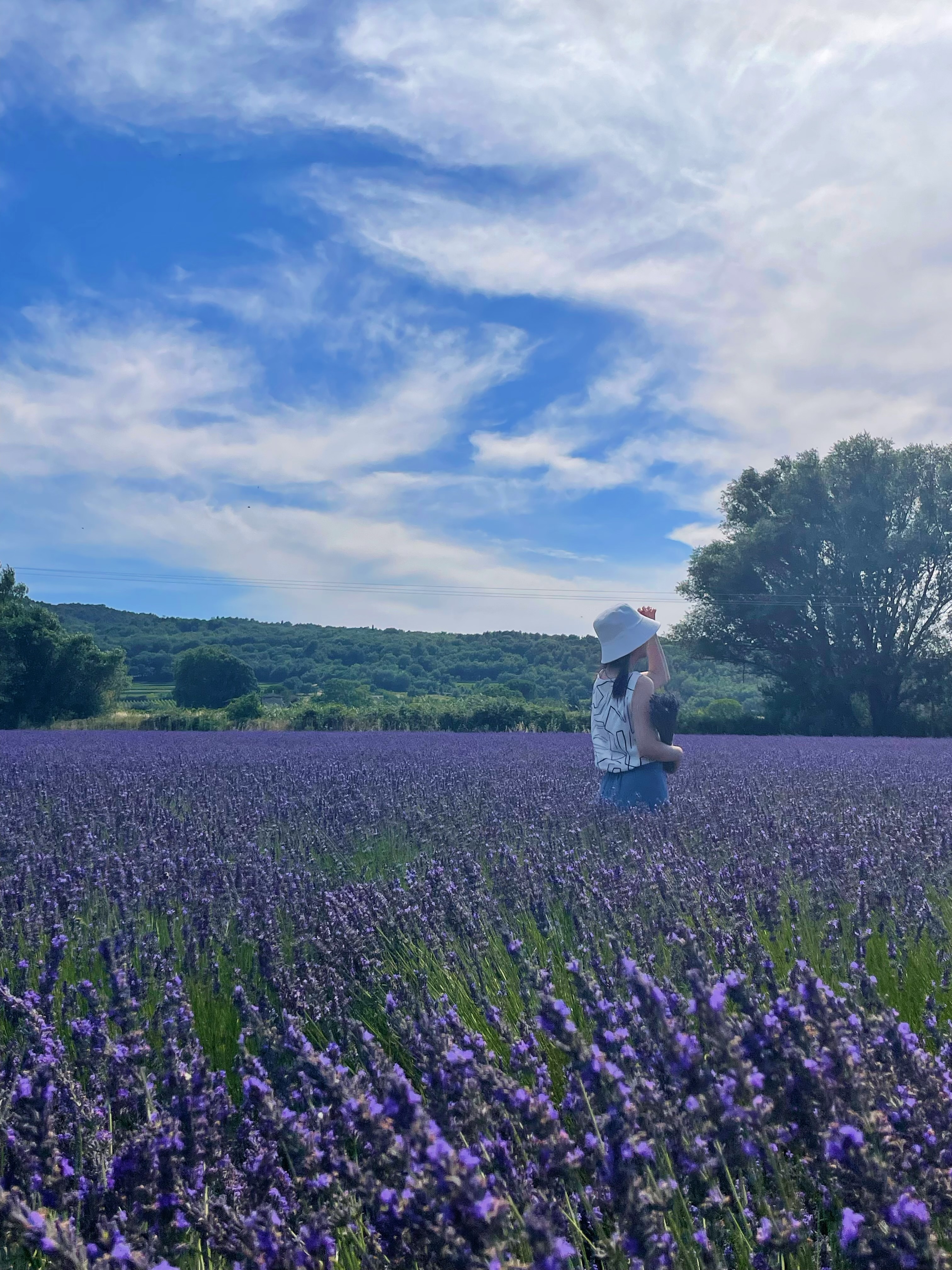 Photo n° 2 de l'avis de mengzhe.h fait le 07/07/2022 à 14:22