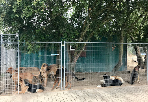 Tierheim-Kranenburg e.V. unter Kranenburg, 