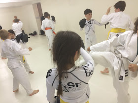 SFDOJO Rishinjuku karate MMA kickboxing zelfverdediging