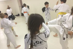 SFDOJO Rishinjuku karate MMA kickboxing zelfverdediging image