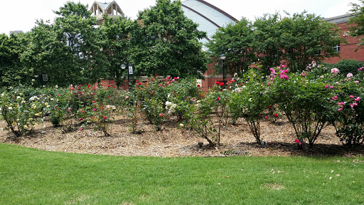 Historical Place «Martin Luther King Jr. National Historic Site», reviews and photos, 450 Auburn Ave NE, Atlanta, GA 30312, USA