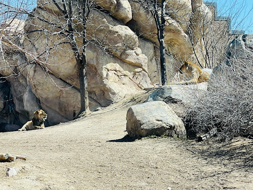 Museum «Tropical Discovery», reviews and photos, 2900 E 23rd Ave, Denver, CO 80205, USA