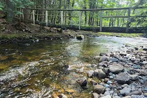 Mink Brook Nature Preserve image