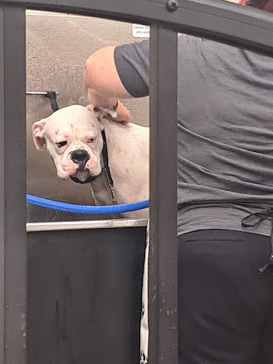 Pet Supply Store «Pet Supplies Plus», reviews and photos, 15060 Eureka Rd, Southgate, MI 48195, USA