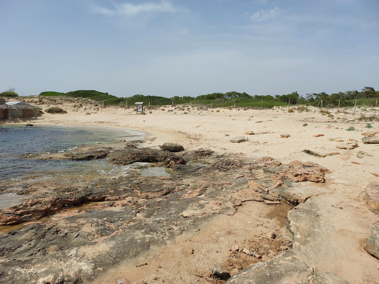 Platja de Can Curt photo #7