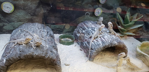 Pet Supply Store «Petco Animal Supplies», reviews and photos, 801 W Lake Ave, Peoria, IL 61614, USA