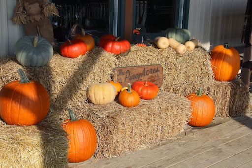 Christmas Tree Farm «Piney Acres», reviews and photos, 1115 E 1000 N, Fortville, IN 46040, USA