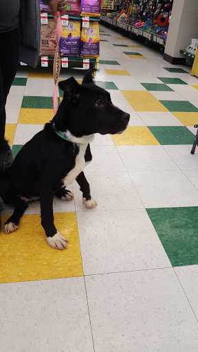 Pet Supply Store «Pet Supplies Plus», reviews and photos, 270 N Bolingbrook Dr, Bolingbrook, IL 60440, USA