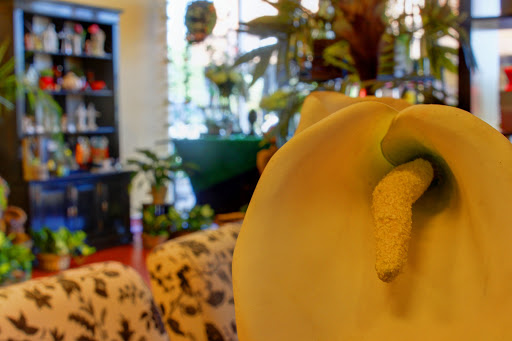 Florist «Red Mountain Florist, Inc.», reviews and photos, 6727 E McDowell Rd #105, Mesa, AZ 85215, USA