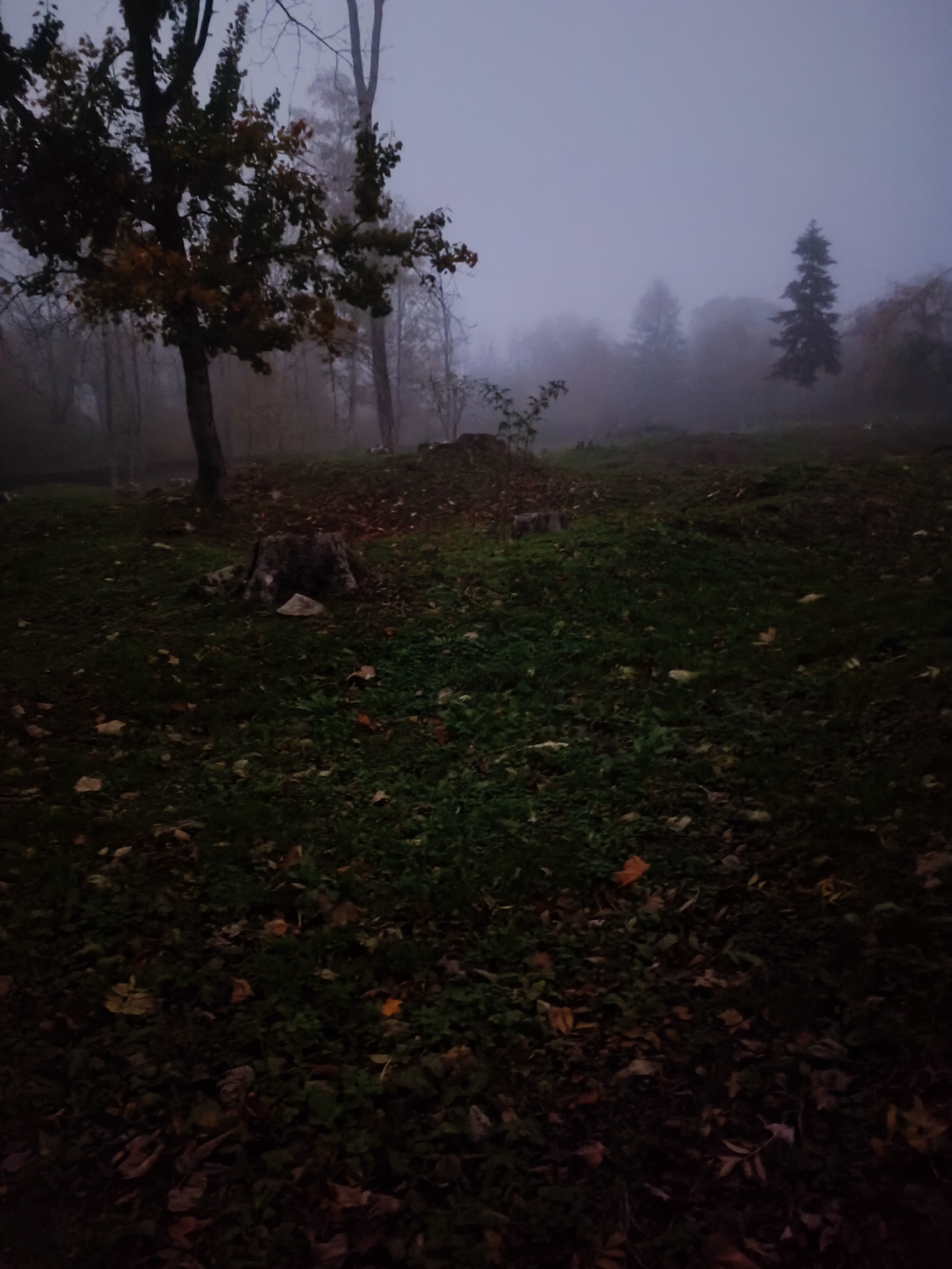 Photo n° 1 de l'avis de J. fait le 12/11/2022 à 17:27