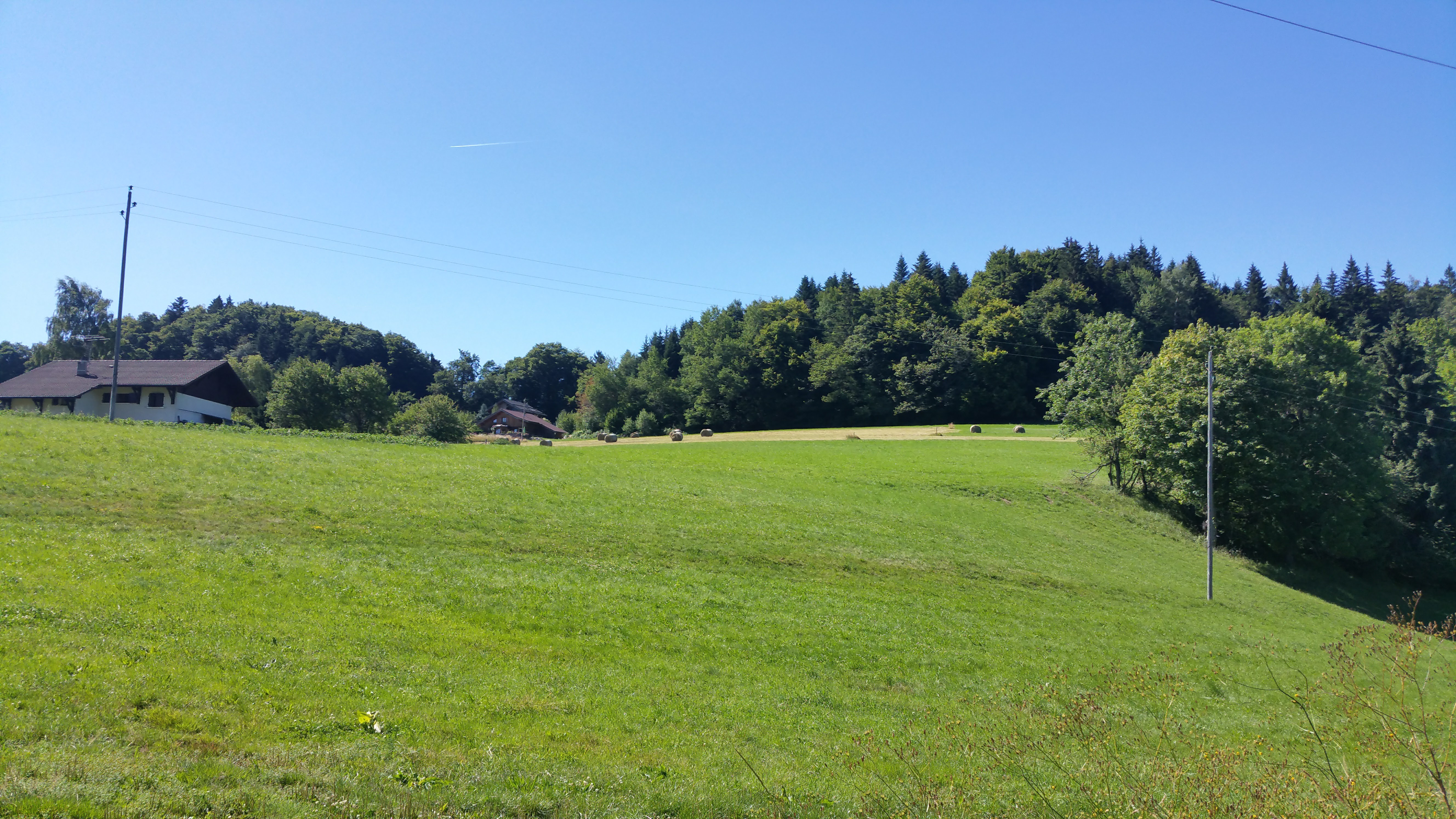 Photo n° 3 de l'avis de Alexandre.o fait le 17/07/2017 à 12:04