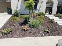 Sacra Green landscaping - Photo 5 - Car repair in , Sacramento