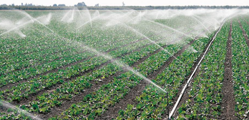 Taree Pumps & Irrigation