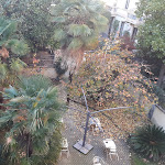 Photo n°11 de l'avis de ASM.A fait le 28/11/2022 à 22:49 sur le  Paradiso à Milan