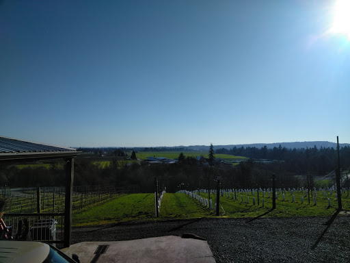 Vineyard «Stangeland Vineyards & Winery», reviews and photos, 8500 Hopewell Rd NW, Salem, OR 97304, USA