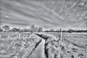 "Moore bei Buxtehude" Landscape Protection Area image