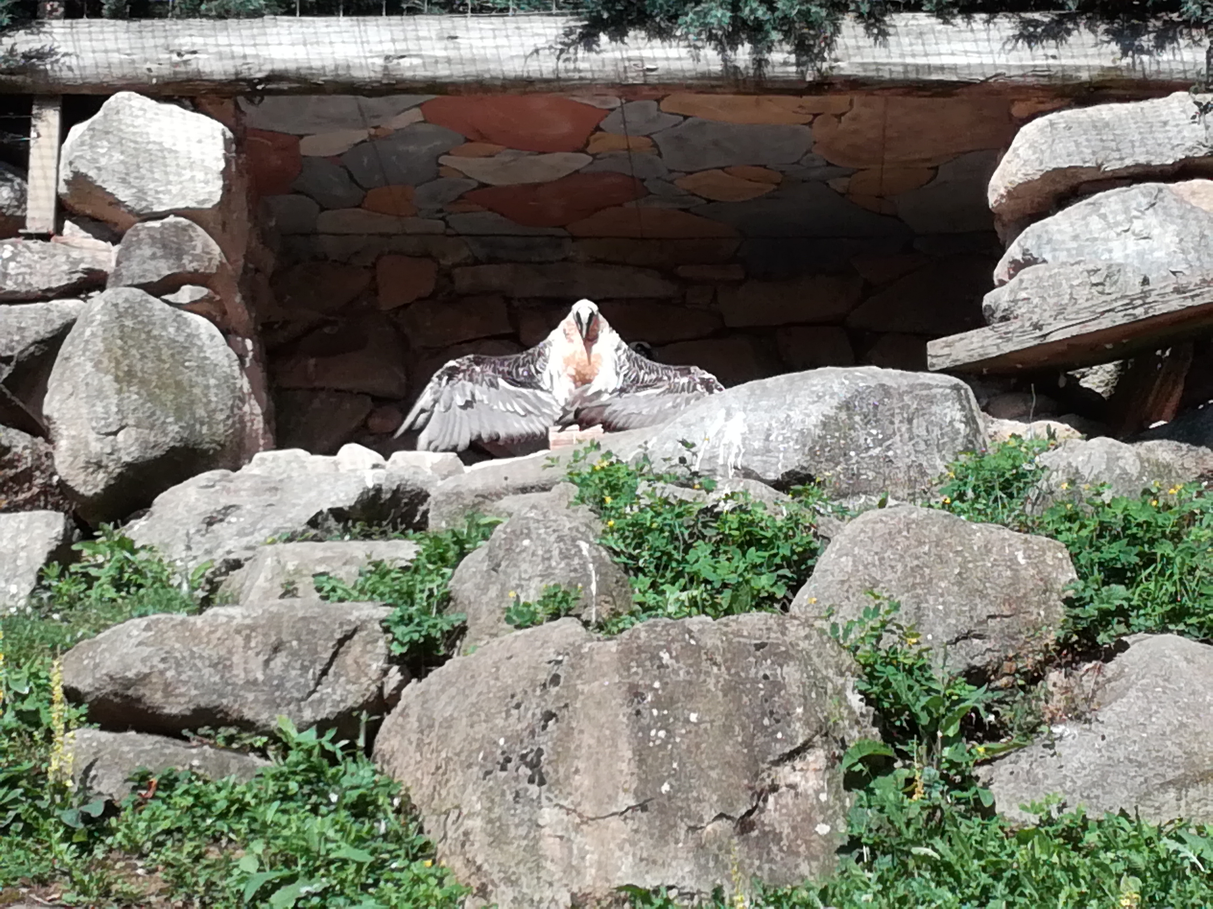 Photo n° 9 de l'avis de Belasco.i fait le 09/08/2021 à 10:20