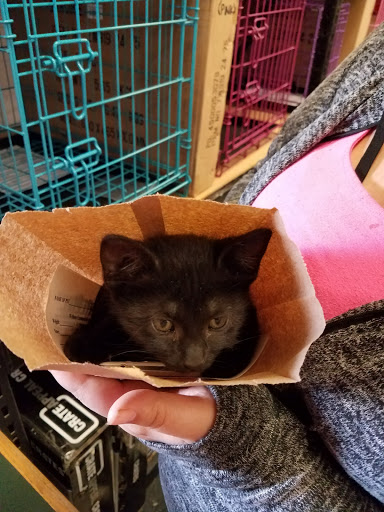 Pet Supply Store «Pets Plus», reviews and photos, 6419 University Ave, Lubbock, TX 79413, USA