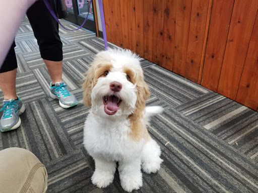 Pet Store «Paws Natural Pet Emporium», reviews and photos, 8551 W Gage Blvd, Kennewick, WA 99336, USA