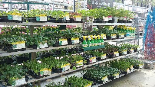 Home Improvement Store «The Home Depot», reviews and photos, 8445 Little Rd, New Port Richey, FL 34654, USA