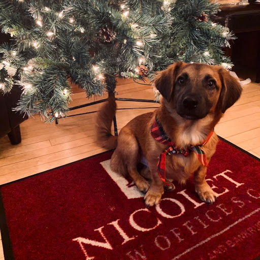 Attorney «Nicolet Law Office, S.C.», reviews and photos