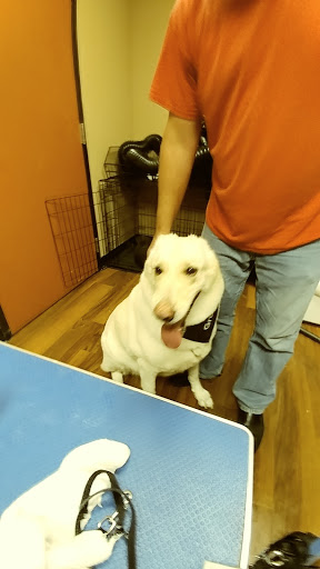 Pet Store «Pet Valu», reviews and photos, 2645 Shillington Rd, Sinking Spring, PA 19608, USA