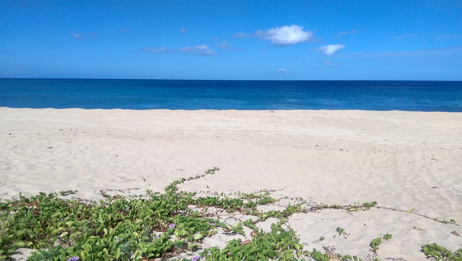 Foto de Ma'ili Beach Park - lugar popular entre os apreciadores de relaxamento