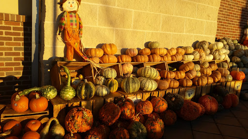 Health Food Store «Sprouts Farmers Market», reviews and photos, 1150 S Ironton St #130, Aurora, CO 80012, USA