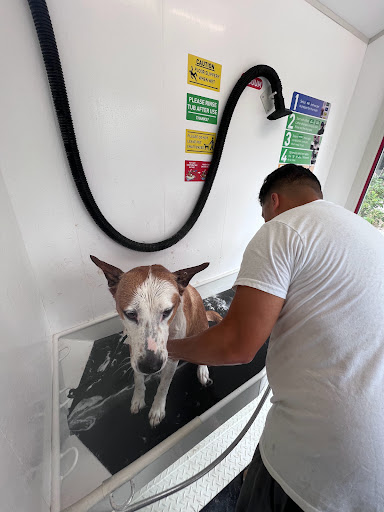 Pet Supply Store «Alpha-Dog Pet Centers, L.L.C.», reviews and photos, 46370 Middle Ridge Rd, Amherst, OH 44001, USA