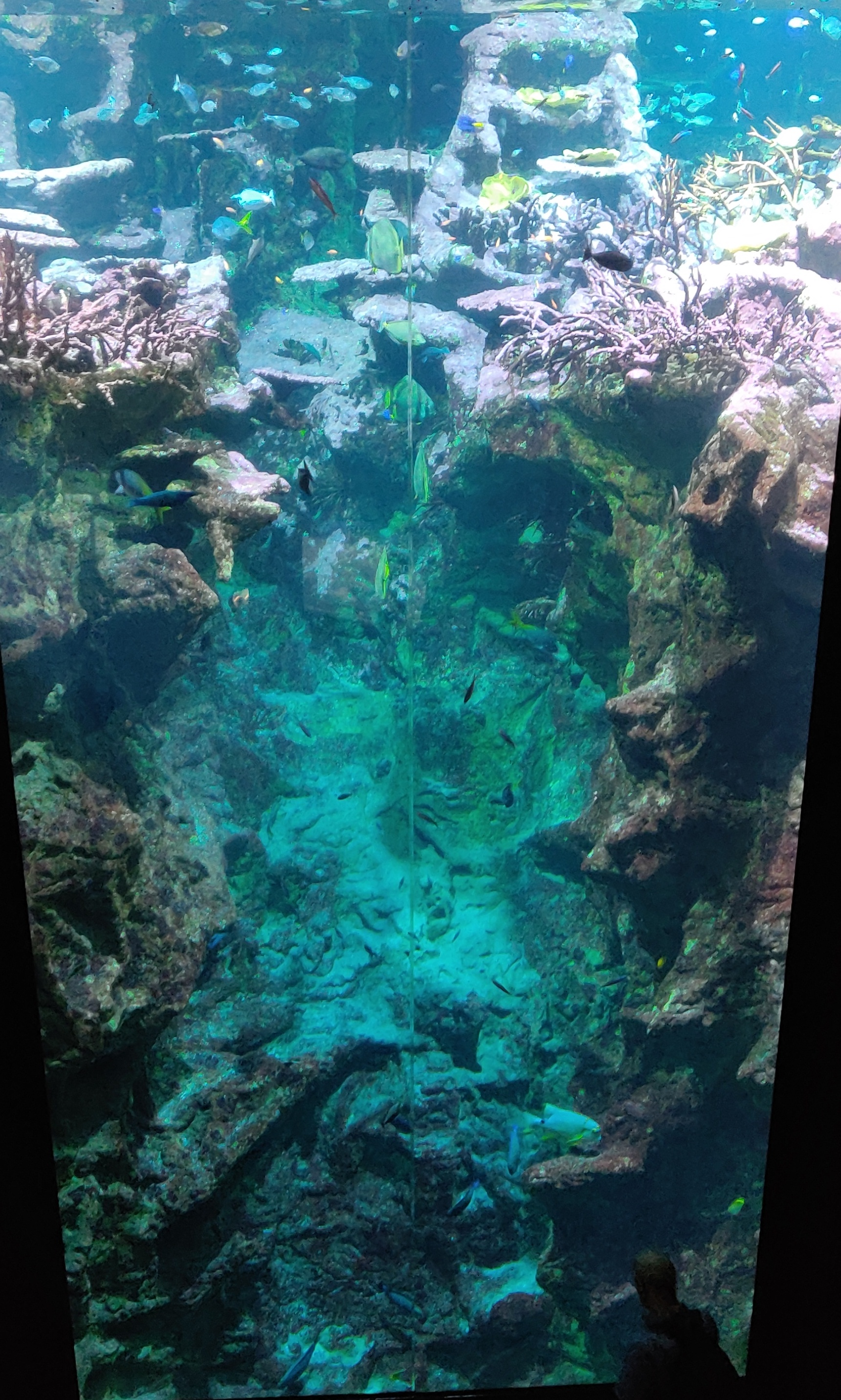 Photo n° 28 de l'avis de CHRISTIAN.A fait le 20/08/2019 à 17:52