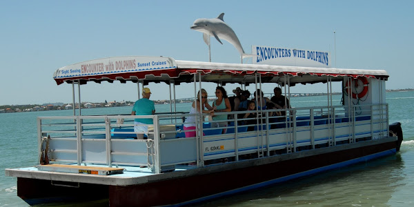 Encounters With Dolphins