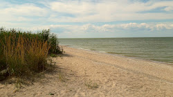 Photo de Plyazh Sazal'nikskaya kosa avec rivage droit, long
