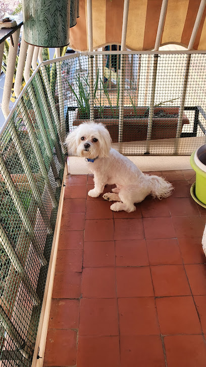La Patita Mojada en Cartagena