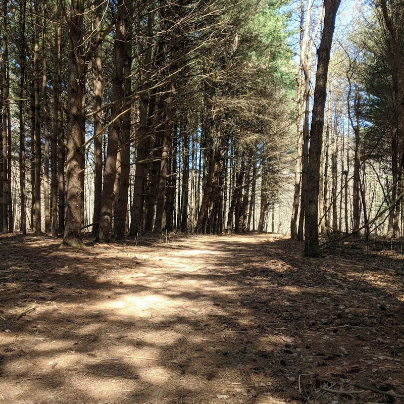 Schleman Nature Preserve