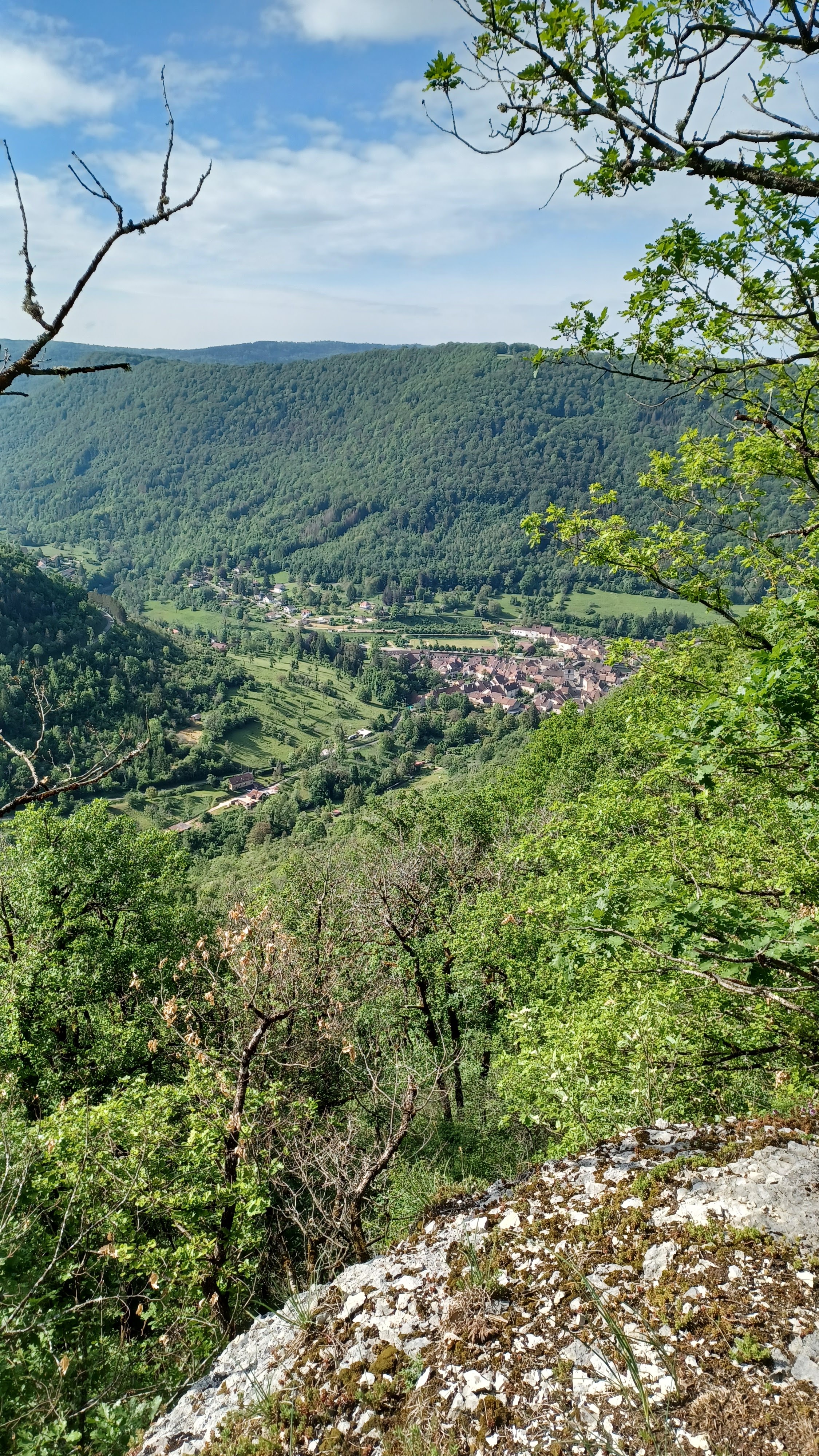Photo n° 7 de l'avis de Françoise.I fait le 27/05/2023 à 15:56