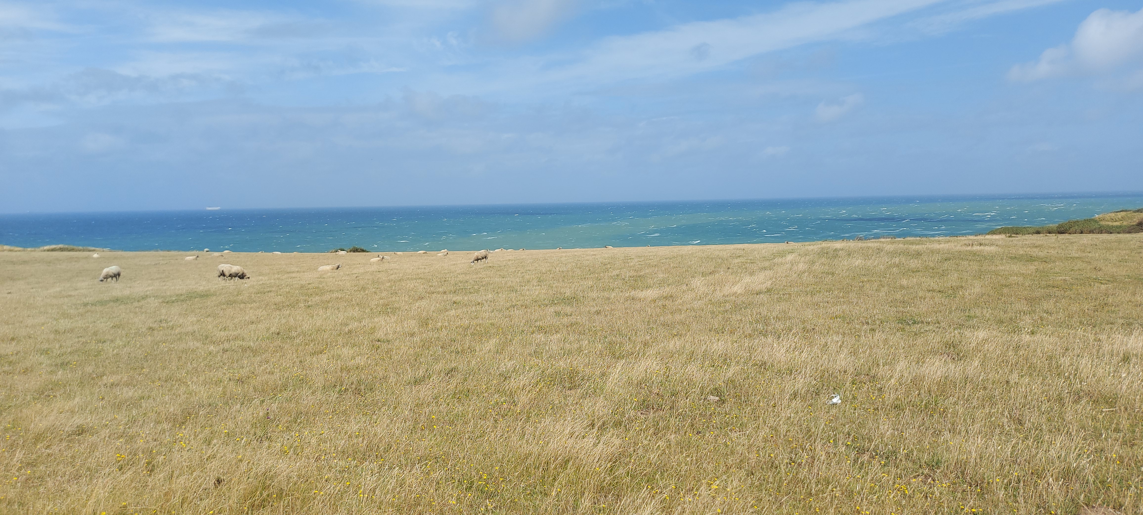 Photo n° 4 de l'avis de Gregory.a fait le 01/08/2023 à 16:14