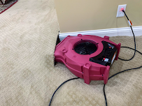 PuroClean of Lexington - Photo 9 - Car repair in Lexington, KY, Lexington