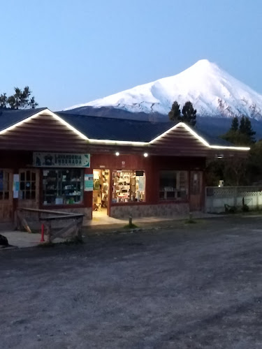 Newen Pesca y Aire Libre - Tienda de bicicletas