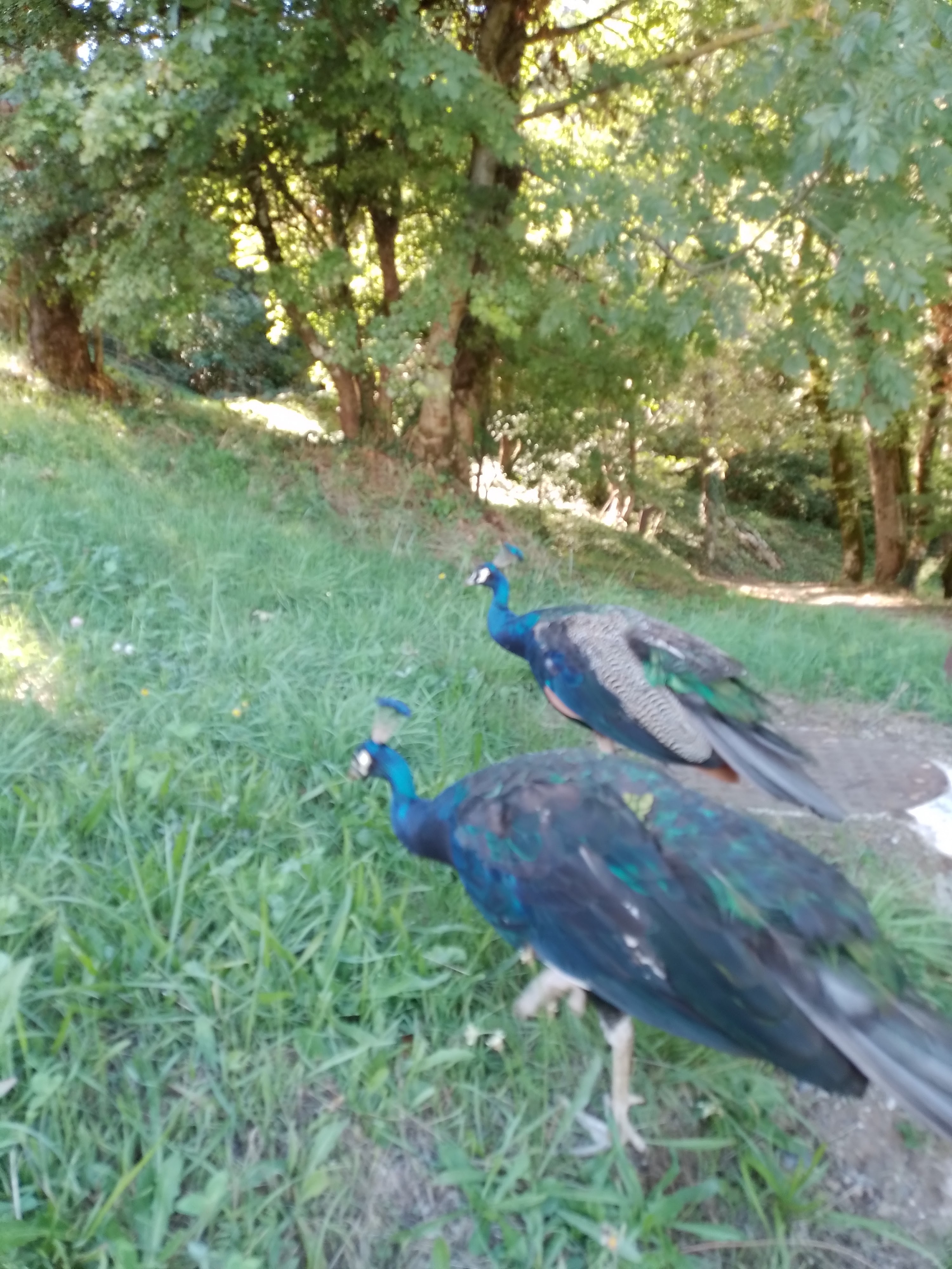 Photo n° 3 de l'avis de Estelle.a fait le 11/09/2022 à 19:01