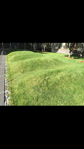 Monument «African Burial Ground National Monument», reviews and photos, 290 Broadway, New York, NY 10007, USA