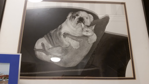 Thrift Store «Goodwill Manasota», reviews and photos, 2715 51st Ave E, Bradenton, FL 34203, USA