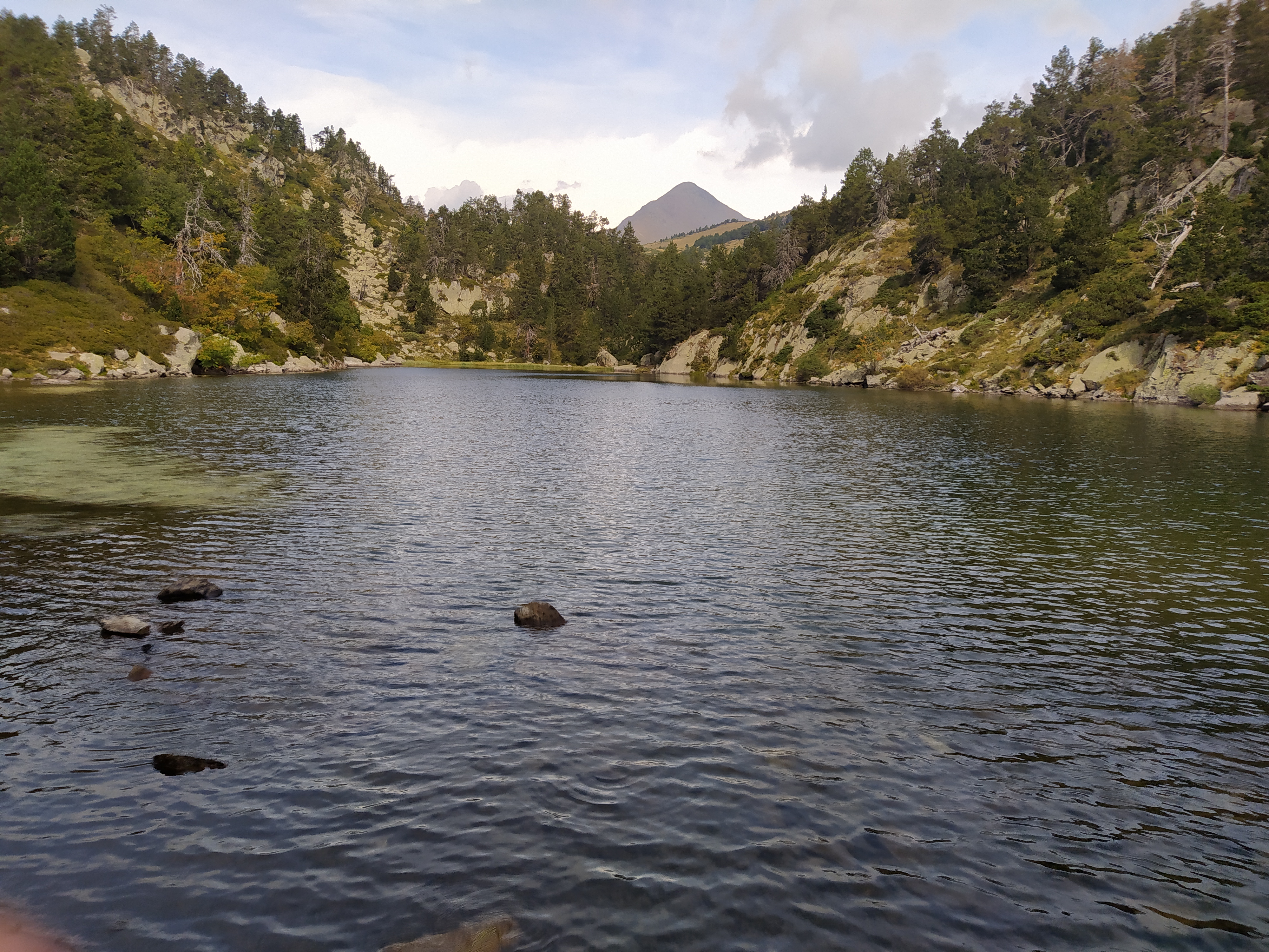 Photo n° 2 de l'avis de Matilde.e fait le 28/08/2020 à 20:44