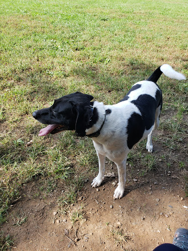 Dog Park «Dog Park», reviews and photos, 9068-9156 Wheatsheaf Rd, Morrisville, PA 19067, USA