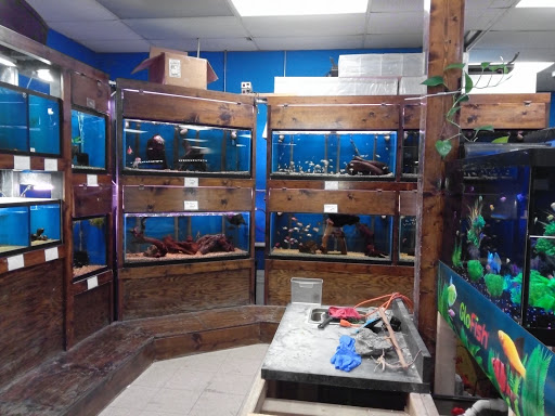Pet Supply Store «Tropical World Pets», reviews and photos, 8444 Watson Rd, Webster Groves, MO 63119, USA